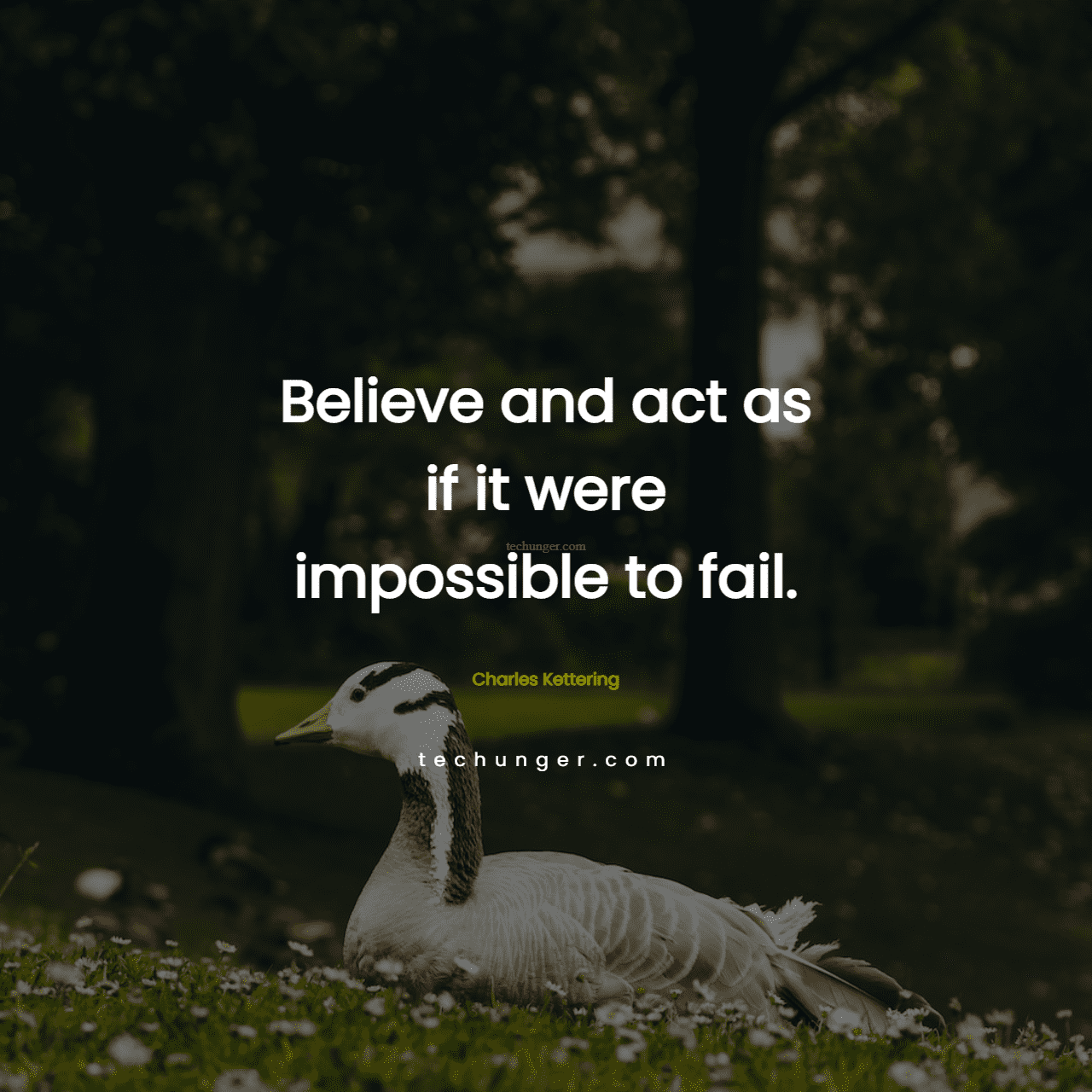 motivational,inspirational,quotes,
  Believe and act as if it were impossible to fail.Charles Kettering
