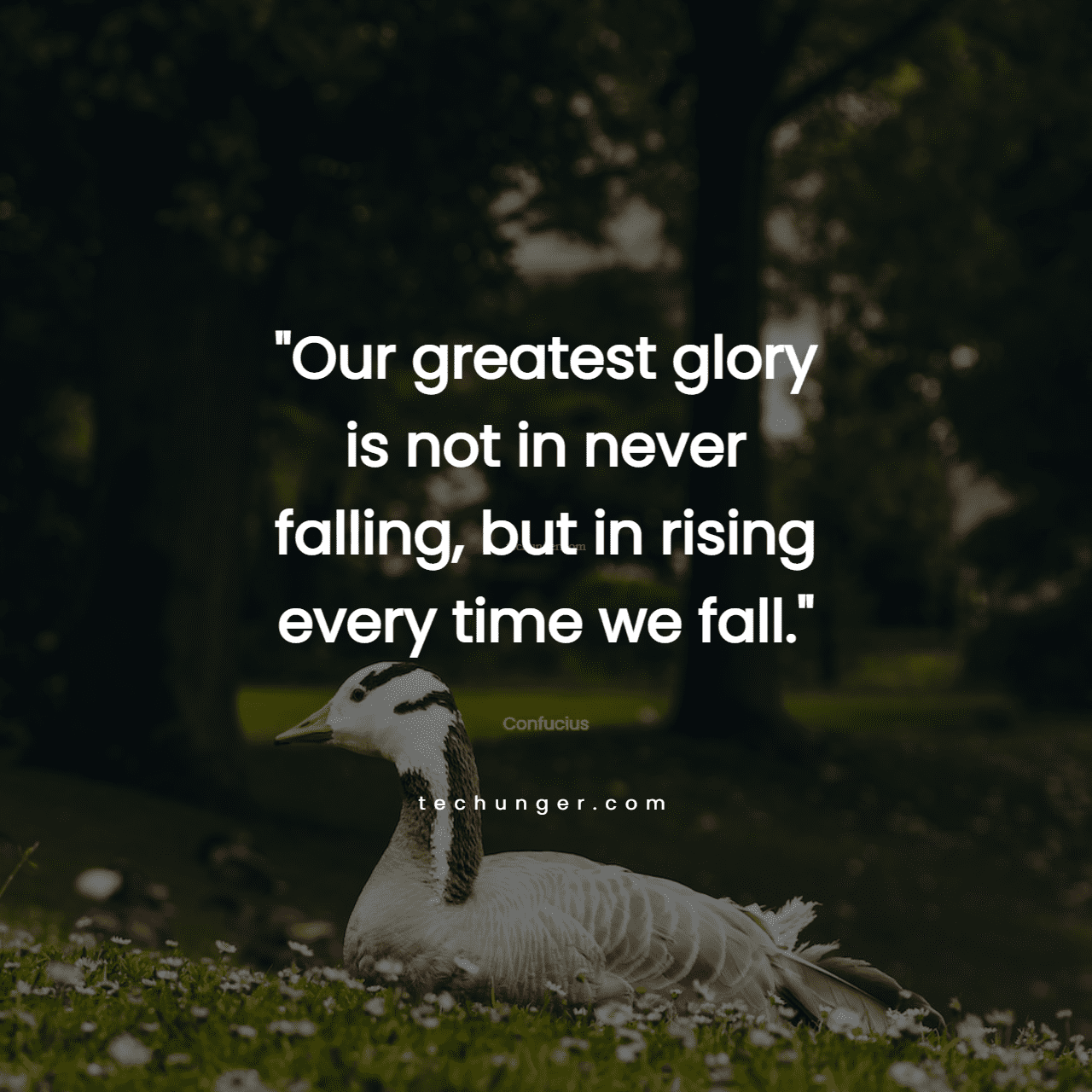 motivational,inspirational,quotes,
  Our greatest glory is not in never falling, but in rising every time we
  fall.Confucius

