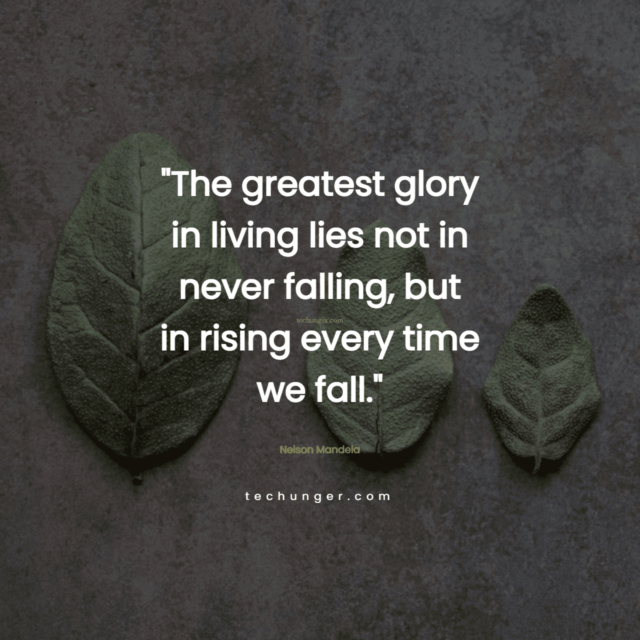 motivational,inspirational,quotes,
  The greatest glory in living lies not in never falling, but in rising every
  time we fall.Nelson Mandela
