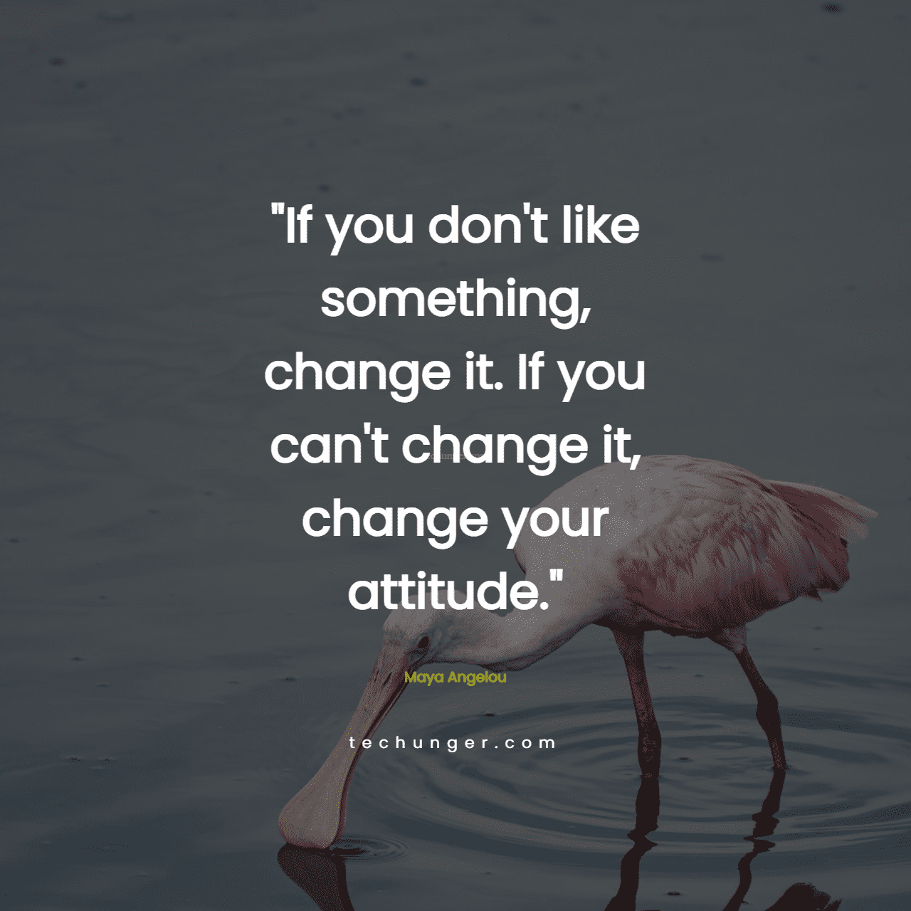 motivational,inspirational,quotes,
  If you don't like something, change it. If you can't change it, change your
  attitude.Maya Angelou
