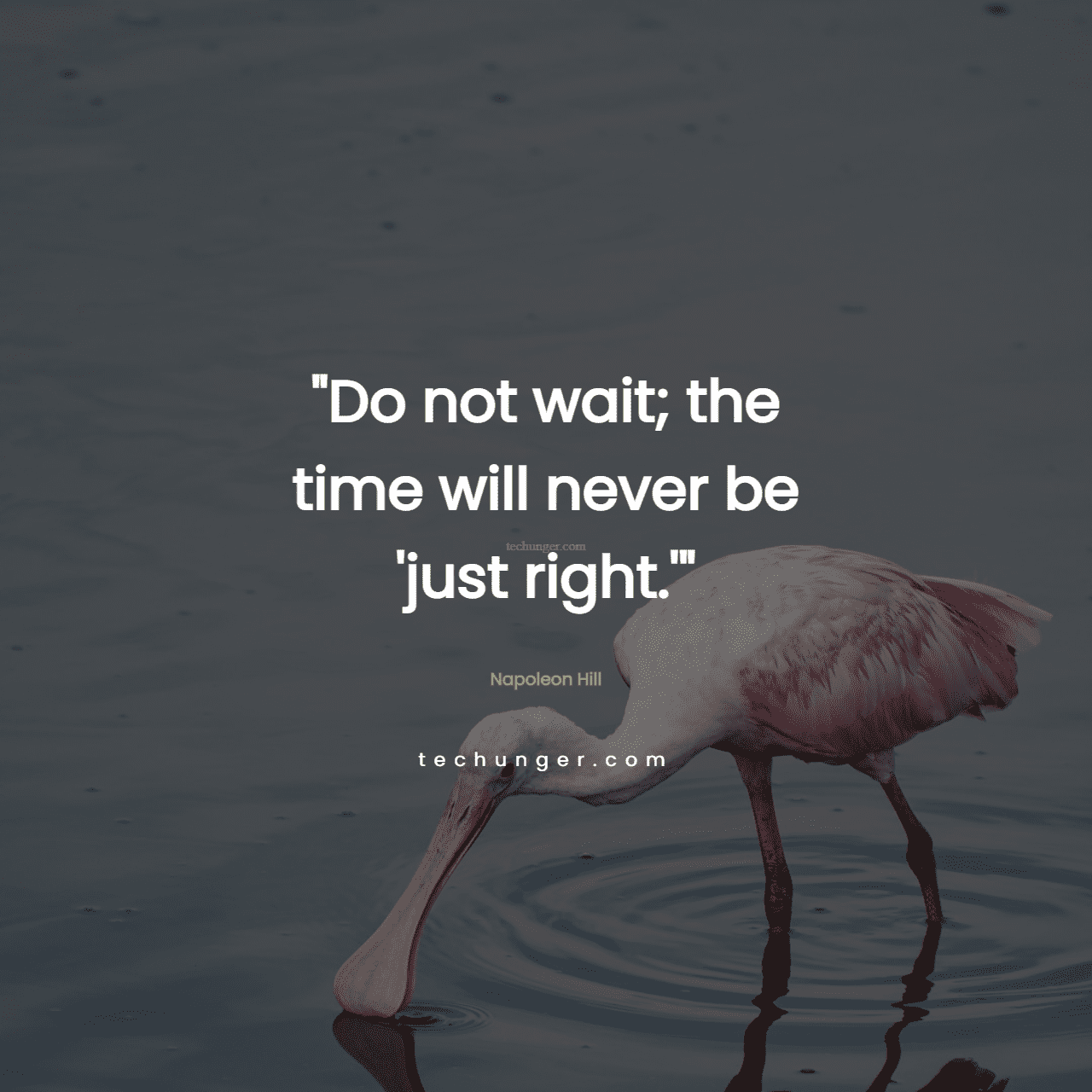 motivational,inspirational,quotes,
  Do not wait; the time will never be 'just right.'Napoleon Hill
