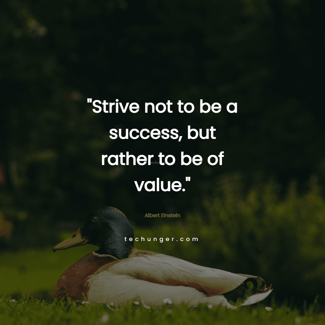 motivational,inspirational,quotes,
  Strive not to be a success, but rather to be of value. 
  Albert Einstein
