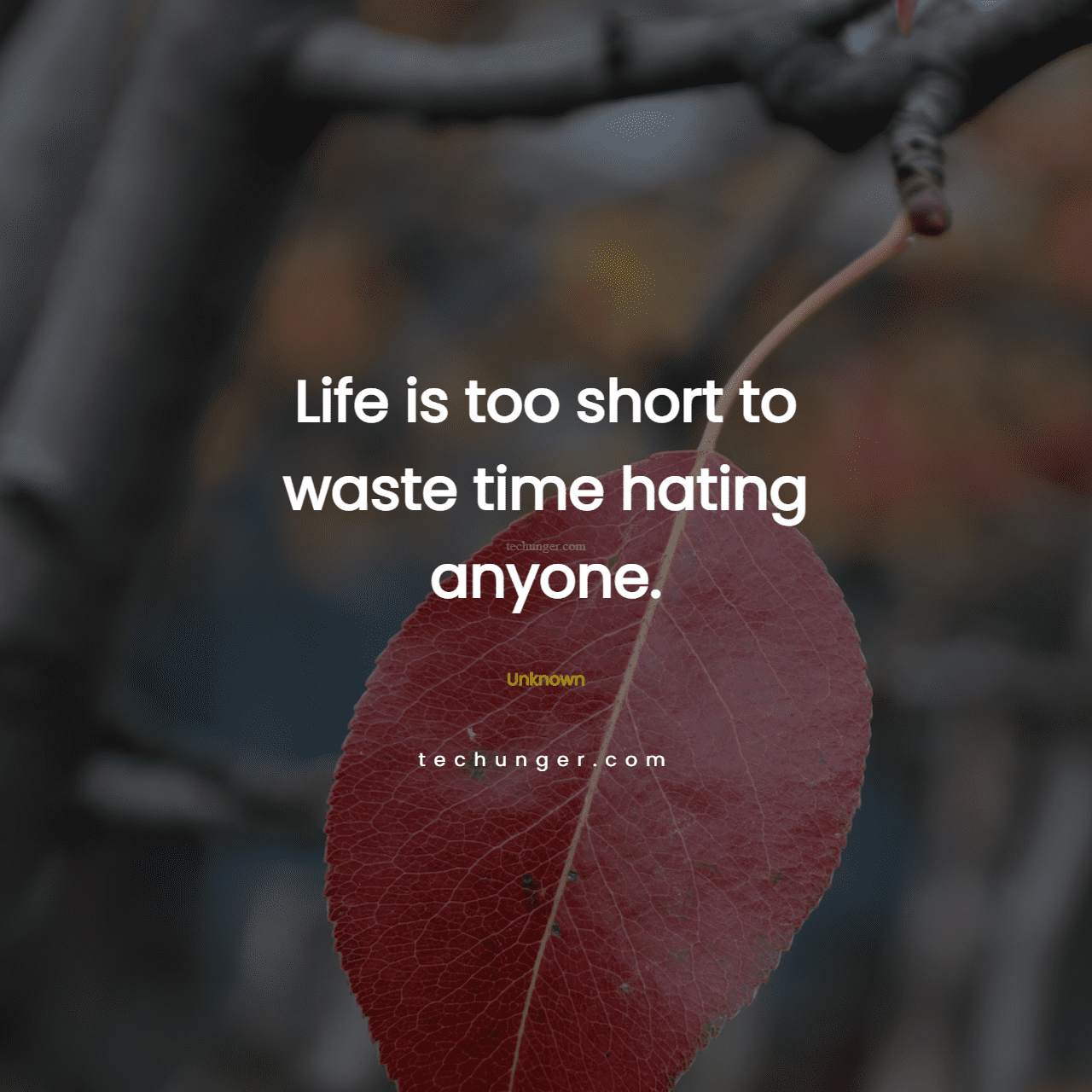 motivational,inspirational,quotes,Life is too short to waste time hating anyone.Unknown