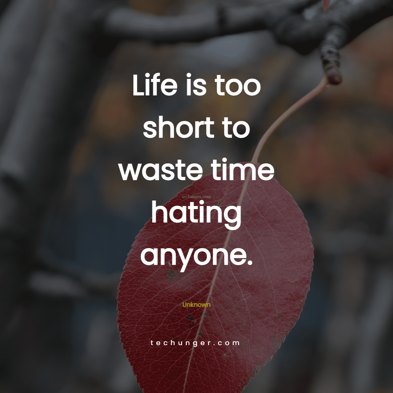 motivational,inspirational,quotes,Life is too short to waste time hating anyone.  Unknown