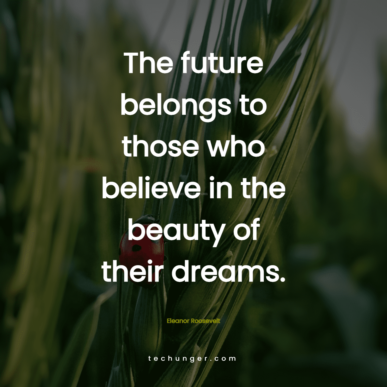 motivational,inspirational,quotes,
  The future belongs to those who believe in the beauty of their dreams. 
  Eleanor Roosevelt
