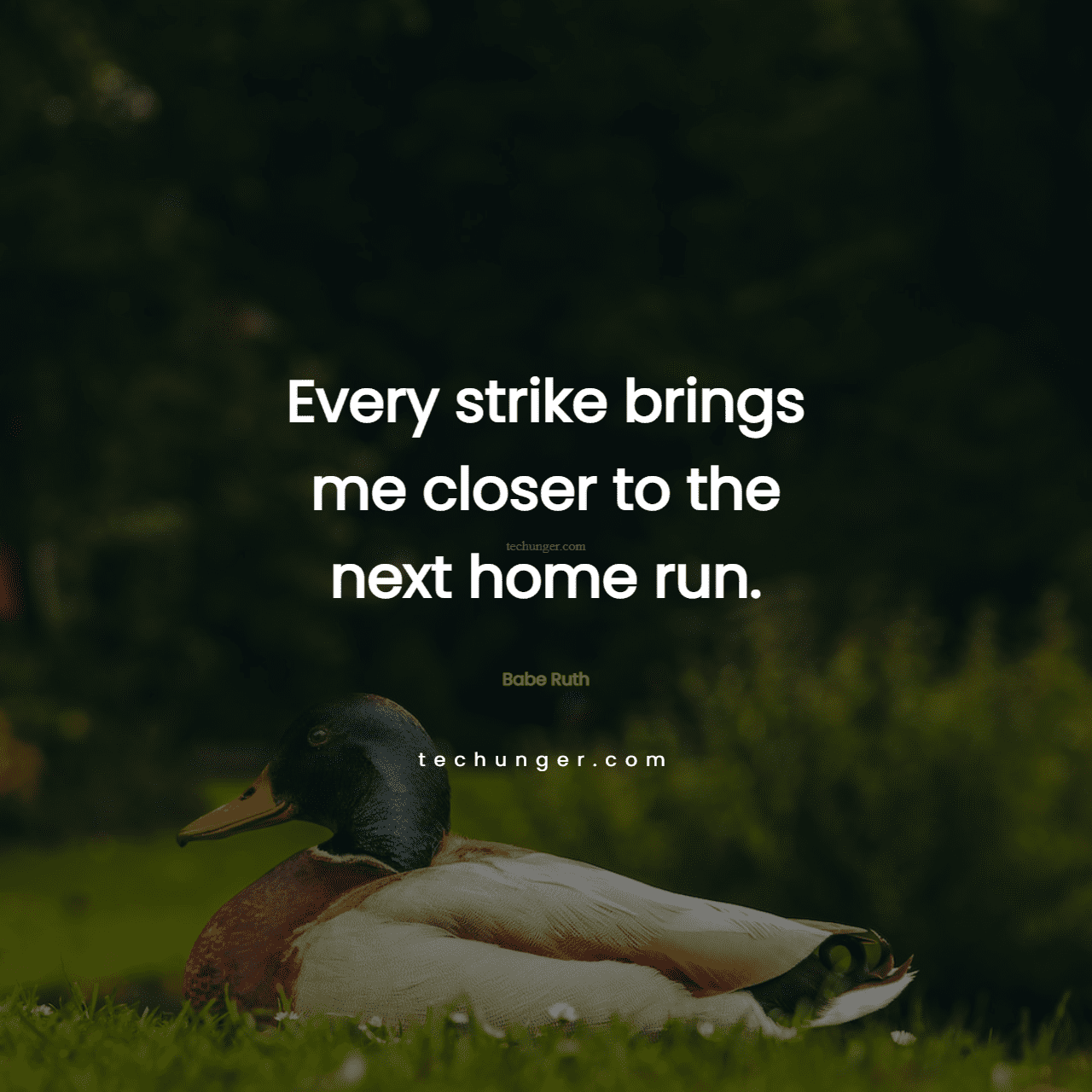 motivational,inspirational,quotes,Every strike ings me closer to the next home run.  Babe Ruth